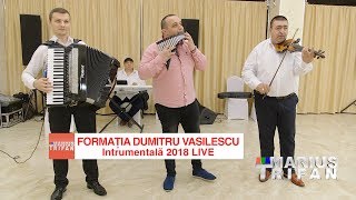 Video thumbnail of "Formatia Dumitru Vasilescu - Instrumentala 2018 LIVE NOU"