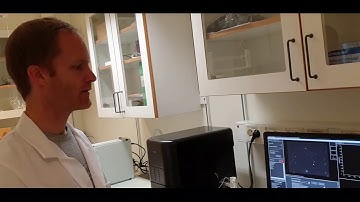 CHALMERS UNIVERSITY Video Nanoparticle tracking analysis