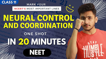 Neural Control and Coordination Class 11 | Biology | For NEET | Full Revision In 20 Minutes