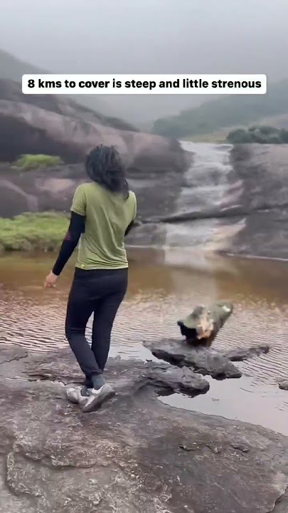 Agastyarkoodam trekking had started for 2023 and here’s all that you need to know. #trending #asmr