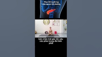 B5.Yoga hỗ trợ đảo ngược bệnh tiểu đường tuýp 2 #shortvideo