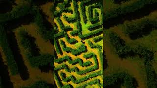 A labyrinth garden in NAGA CITY Philippines #shorts
San Felipe, Naga City, Philippines, 4400 A labyrinth garden in NAGA CITY Philippines #shorts
