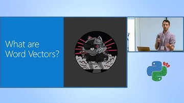 Beyond Word Embeddings The Future of Semantic Representation - Ari Bornstein - PyCon Israel 2019