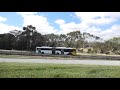 Bus #1164 Adelaide O-Bahn