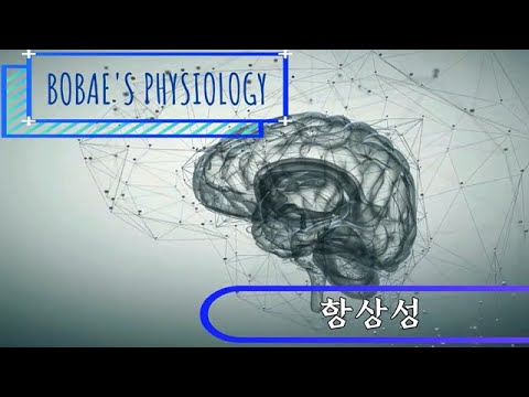 생리학 - 항상성(Homeostasis)