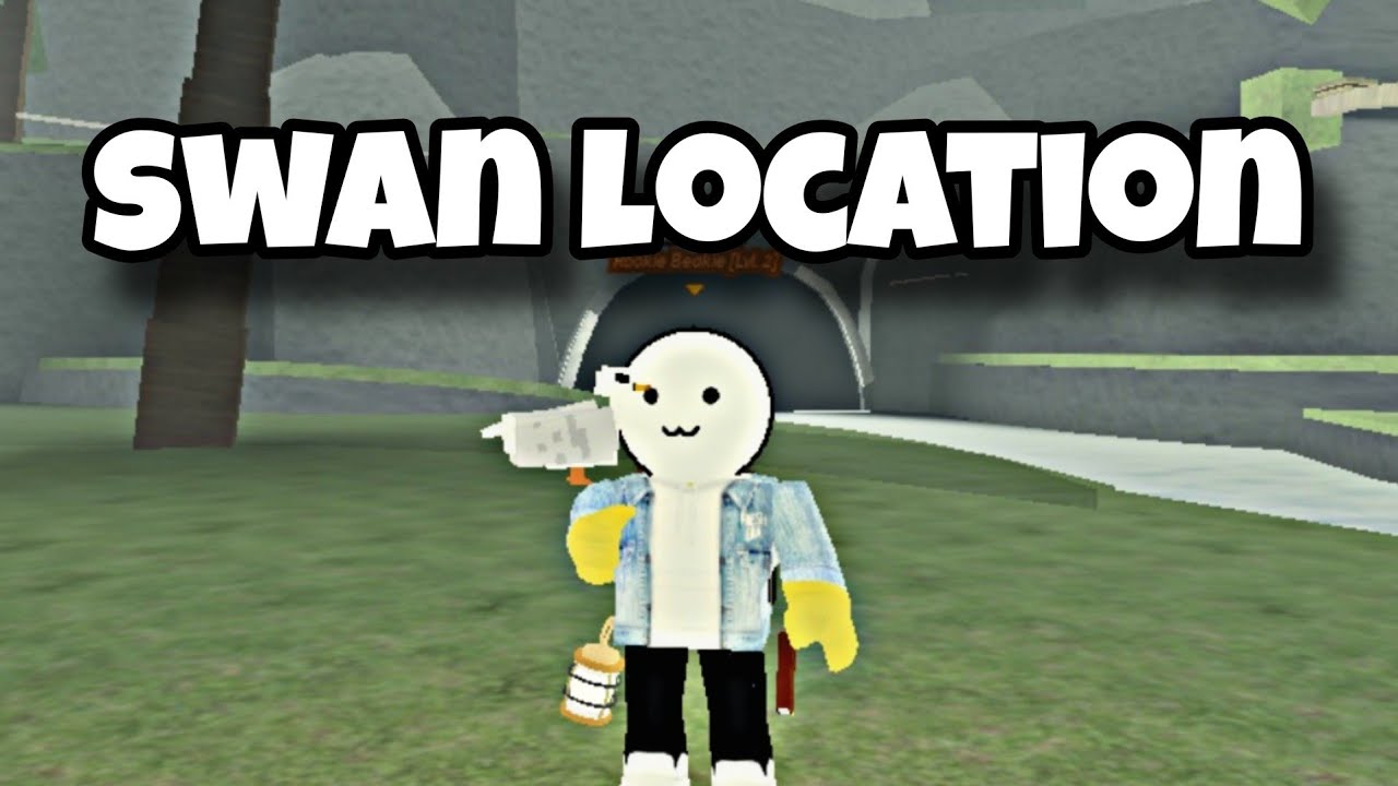 LOCATION How To Get Swan In Beaks Roblox Swan YouTube