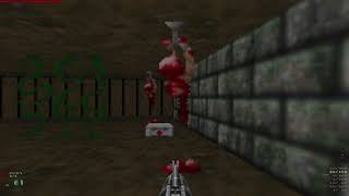 Doom 2-Wolfenstein Shadows Of Destiny Single-Player Modification