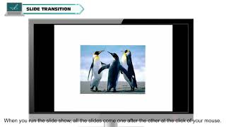 ANIMATION IN MS POWERPOINT 2010    CLASS-6