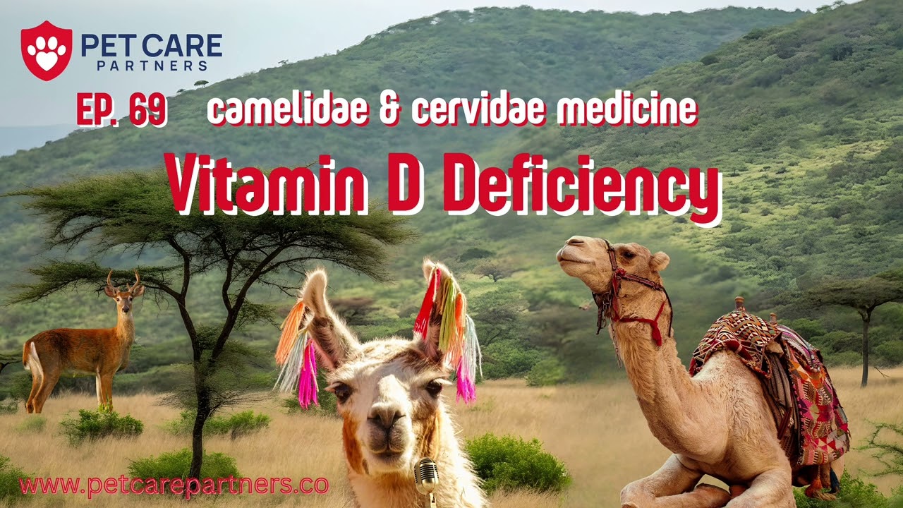 EP 69 | Vitamin D Deficiency in Camelidae & Cervidae
