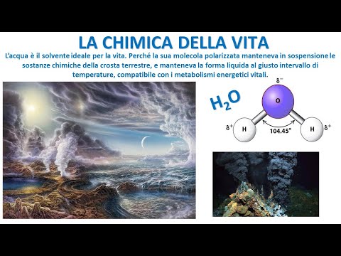 Video: Quali sono le sostanze chimiche della vita?