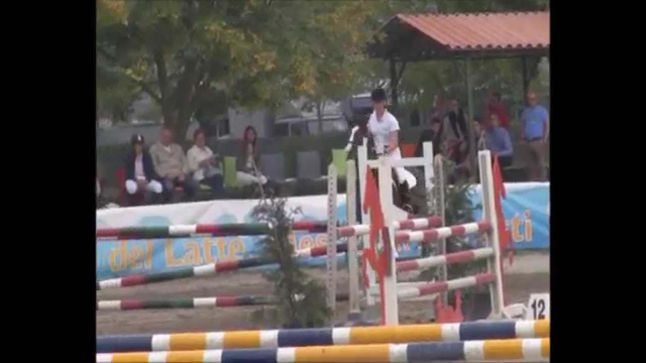 Volli E Volli Sempre E Fortissimamente Volli
