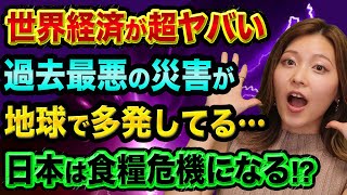 世界経済が超ヤバい、過去最悪の災害が、地球で多発してる裏話【日本の食料価格も上がる】インフレリスクと洪水や水不足の異常気象と地球温暖化