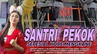 SANTRI PEKOK JJ BASS  NGUKK  JOHAND LIGHT X 69 PROJECT