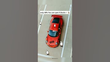 50% Spot All 9 ducks👀🦆 #find #funshorts #brainchallenge #memes