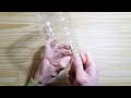 Beginning of video