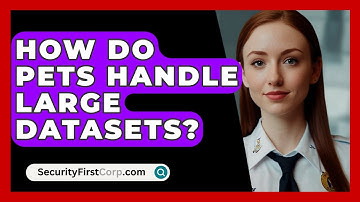 How Do PETs Handle Large Datasets? - SecurityFirstCorp.com