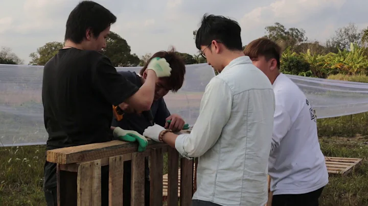 PQ 2019: Performance Space Exhibition: Theatre in the Wild