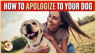 How to Apologize to Your Dog | How to say sorry to a Dog | Apologizing to your Dog | Sorry Pup