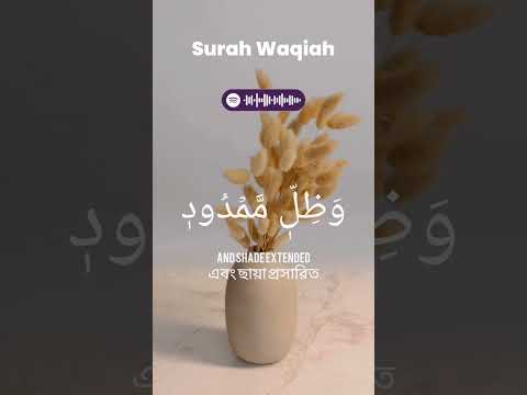 QuranTilawat IslamicShorts QuranRecitation AyatulKursi SurahRahman Healing Peace Tilawat