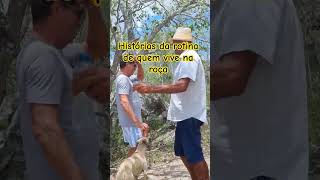 #historiaderoça