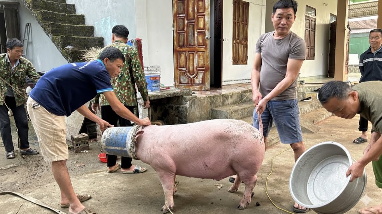 NGƯỜI MƯỜNG ĂN TẾT NGUYÊN ĐÁN NHƯ THẾ NÀO | THỊ.T LỢN TẠ CHIA PHẦN ĂN TẾT