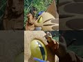 Skilled Female Craftsman Built Totoro Catbus from Reused Waste  (Part 2)
