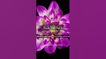 سوره ال عمران ایه 61 با ترجمه فارسی