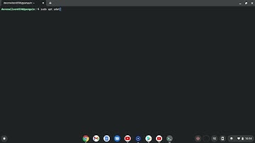 How to install Dolphin Emulator on Chromebook using Linux Terminal