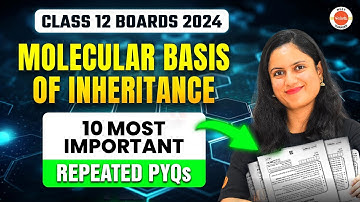 10 Most Important Repeated PYQs - Molecular Basis of Inheritance Class 12 Biology 2024 🔥#revision