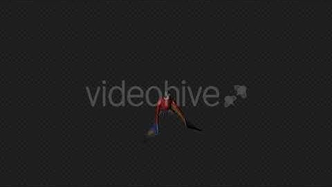 Parrot Attack Pack 4 In 1 | Motion Graphics - Envato elements