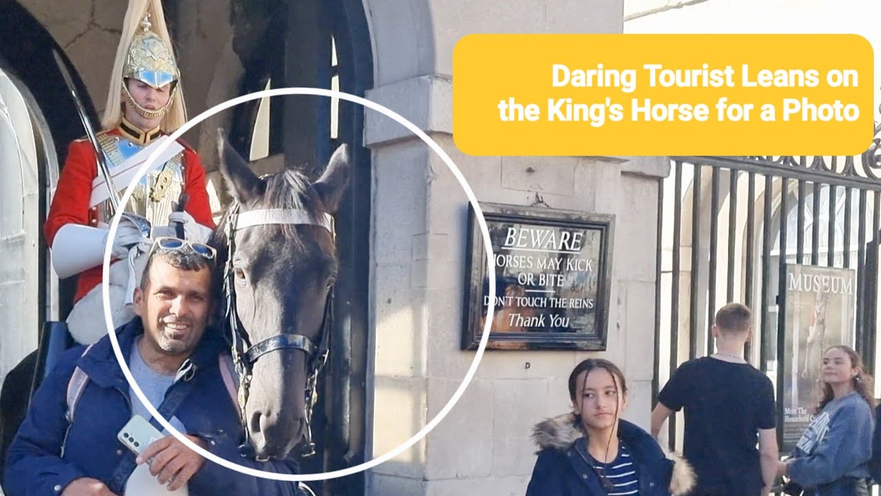 Daring Tourist Leans on the King's Horse for a Photo Horse Guards