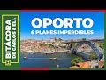 Qué hacer en Oporto | 6 Planes Imperdibles