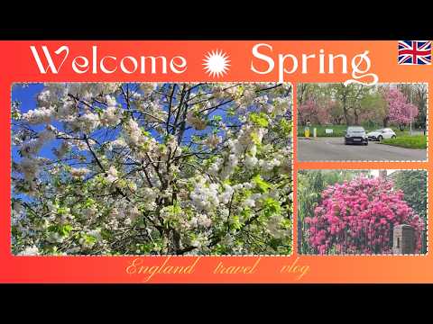 Exploring Beautiful UK Spring Scenery Travel Vlog