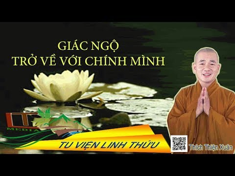 Video Giác ngộ trở về chính mình Thích Thiện Xuân - youtube