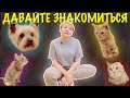 😻 НОВАЯ ЖИЗНЬ ОСОБЕННЫХ ЖИВОТНЫХ