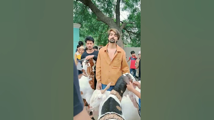 1 lakh ka bakra 2 lakh me de rha hu kyu #shorts #youtubeshorts #short #viralshort #Azhan5star