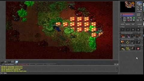 Tibia Bot Kill in Non PvP #37, 38 "118 ek"