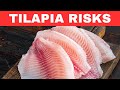 4 health risks of eating tilapia plus solutions