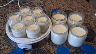 Homemade yogurt by Eliza
