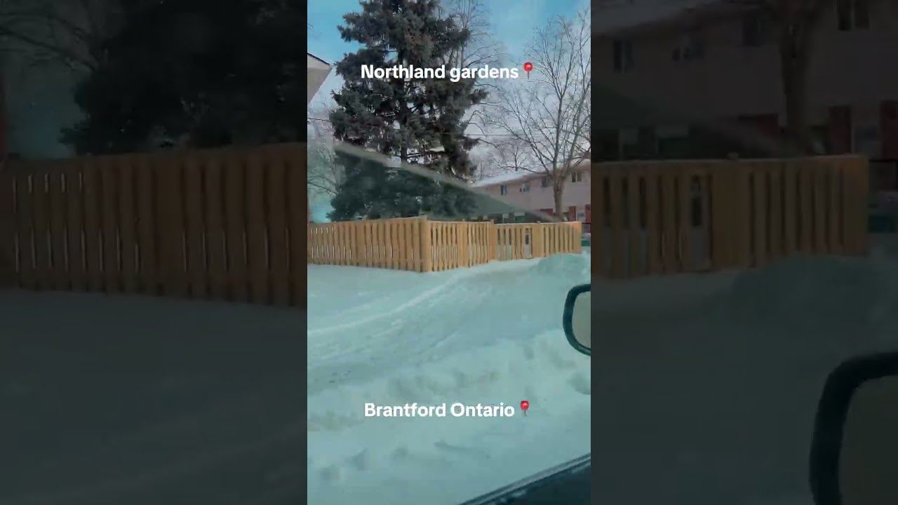 Northland gardens full of real trappers? 🤔 