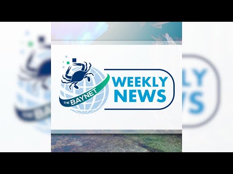 Baynet News Southern Md