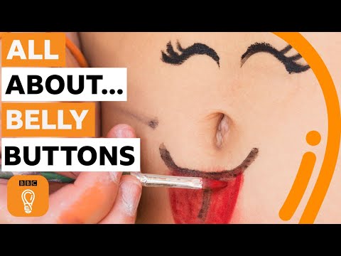 Why your belly button is amazing | BBC Ideas