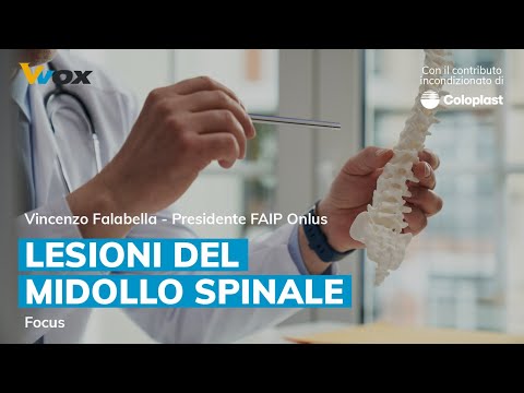 LESIONE DEL MIDOLLO SPINALE: focus