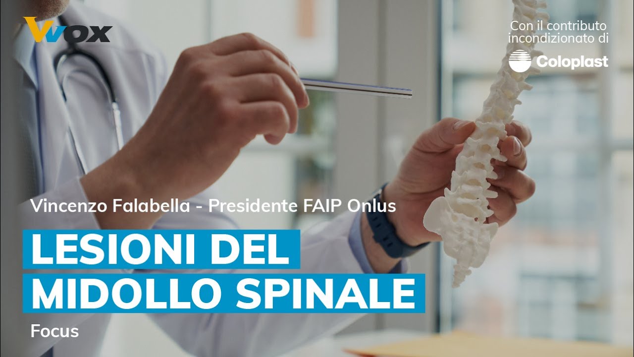 LESIONE DEL MIDOLLO SPINALE: focus