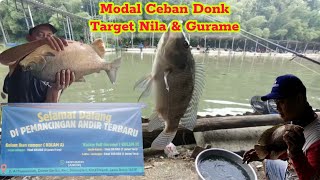 Viral‼️LAPAK FULL SETIAP HARI "TERBUKTI BANYAK BABON NYA" NILA BAWAL PATIN GURAME DAN IKAN MAS