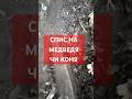Спис бойовий чи для полювання? #спис #коп