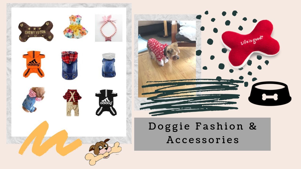 Doggie Fashions & Accessories YouTube