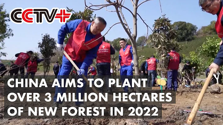 China Aims to Plant over 3 Million Hectares of New Forest in 2022 - DayDayNews