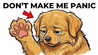 Leave Your Dog Alone: The 5 Things You’re Doing Wrong (Most Owners Do #2)