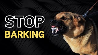 High Pitched Dog Whistle Sound To Stop Dogs Barking (20KHz)